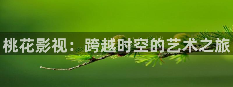 神马电影视频在线播放