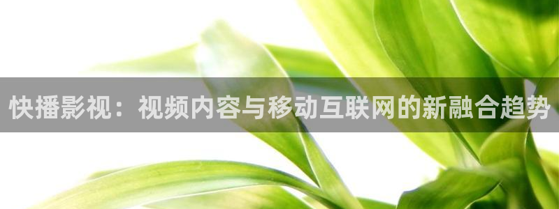 神马影院被窝网