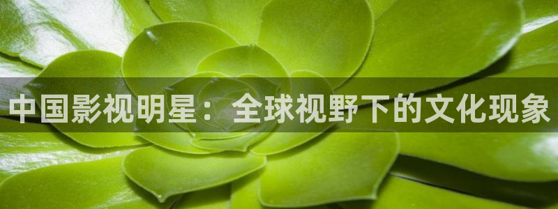 神马影视特片网