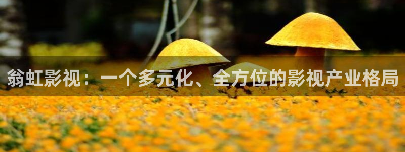 年阿第一神马影院