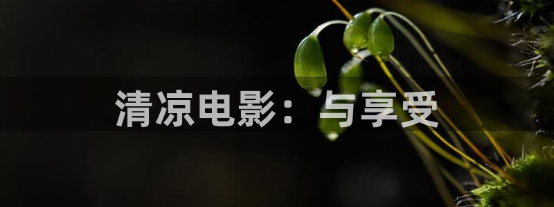 神马影院小蝌蚪影院
