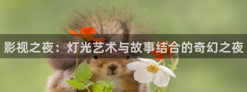 神马限制级影视