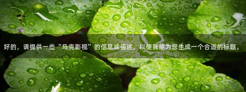 神马影视我不卡手机在线观看