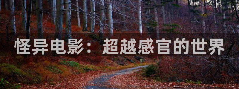 神马伦理影视