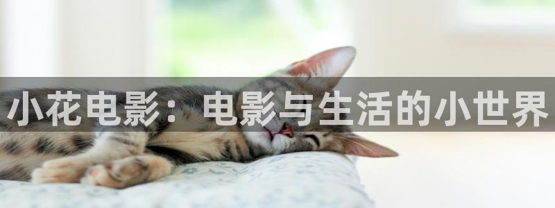 神马影院在线观看视频：小花电影：电影与生活的小世界