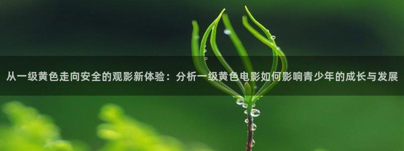 神马电影院理论：从一级黄色走向安全的观影新体验：分析一级黄色电影如何影响青少年的成长与发展