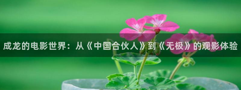 神马电影网mp4：成龙的电影世界：从《中国合伙人》到《无极》的观影体验