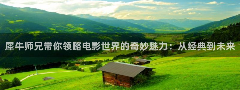 嫂子的职业神马影院：犀牛师兄带你领略电影世界的奇妙魅力：从经典到未来