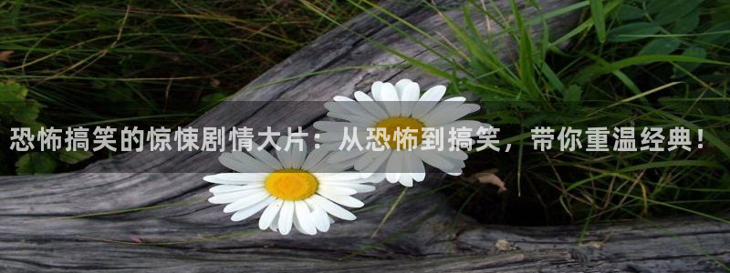 神马伦理达达兔：恐怖搞笑的惊悚剧情大片：从恐怖到搞笑，带你重温经典！