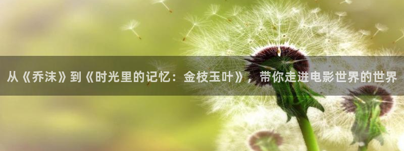 神马特级片：从《乔沫》到《时光里的记忆：金枝玉叶》，带你走进电影世界的世界