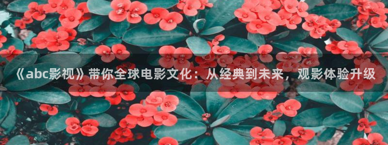 神马在线午夜电影：《abc影视》带你全球电影文化：从经典到未来，观影体验升级