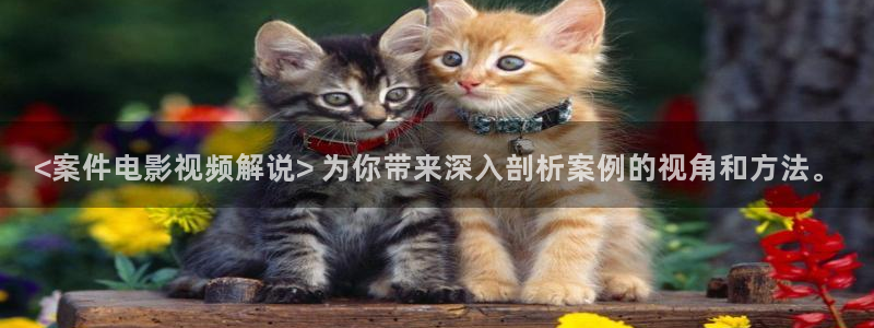 光棍午夜影院神马午夜不卡影院