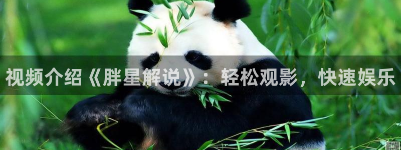 神马电影院我不