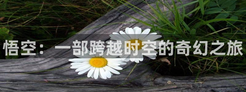 神马电影院手机不卡