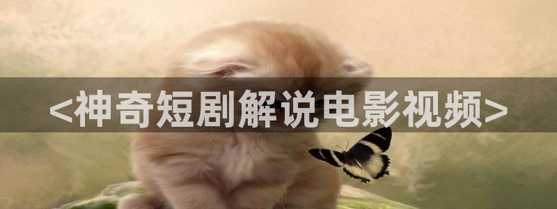神马日韩伦理片