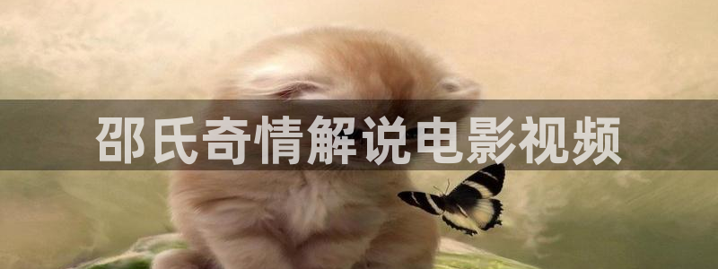 神马影视手机免费版