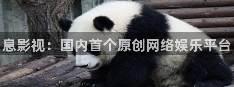 女儿的朋友神马影院