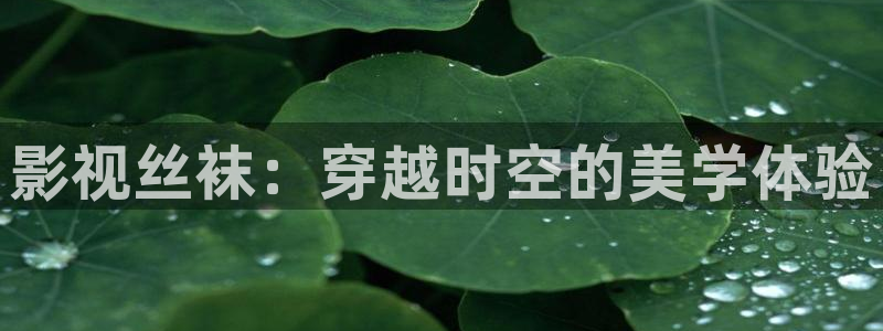 女友的妈妈神马影院