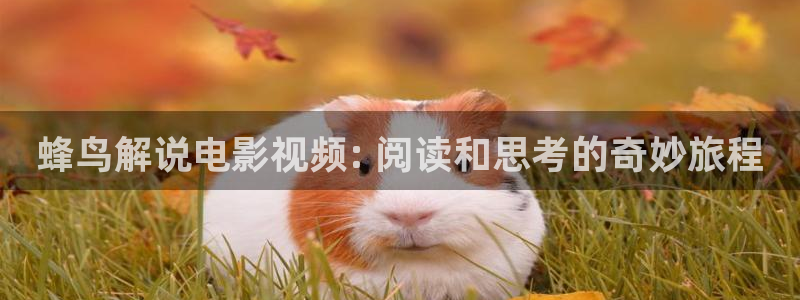神马三我不卡