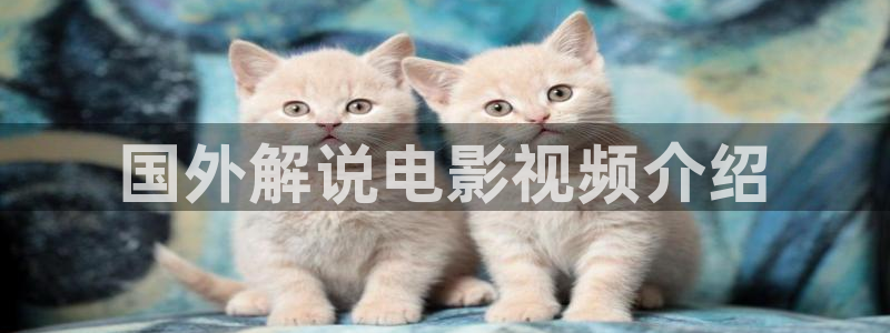 神马影院在线2