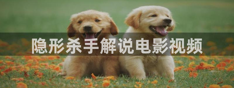 神马影院小蝌蚪影院
