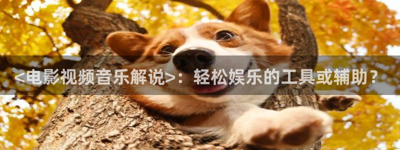 神马电视我不卡