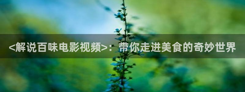 6080新视觉神马影院