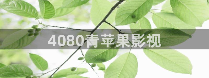 神马电影伦理电影