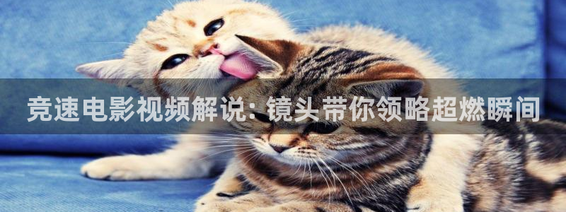 神马视频久久
