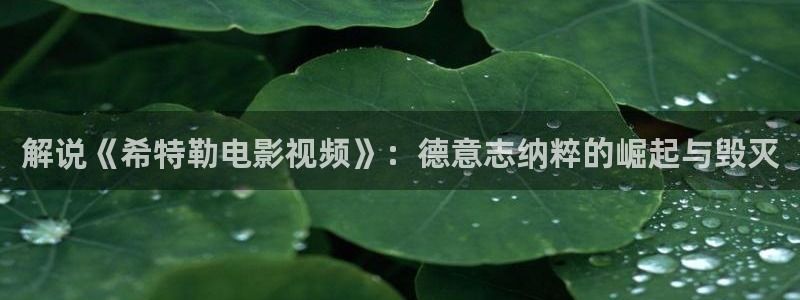 神马影片伦理
