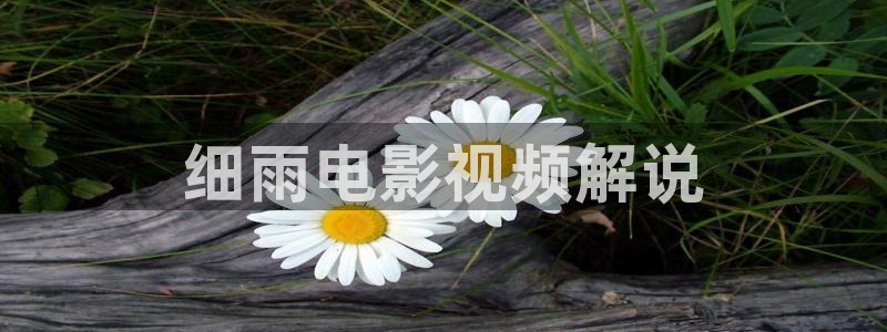 神马飘花影视
