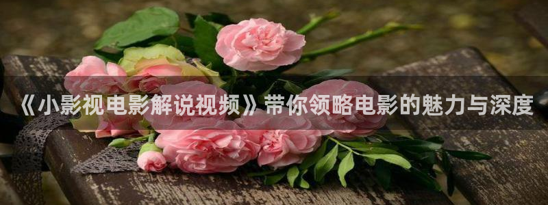 第九神马影院超神