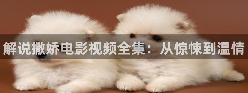神马影院在线观看免费网站