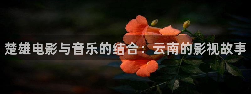 神马电影网站大全