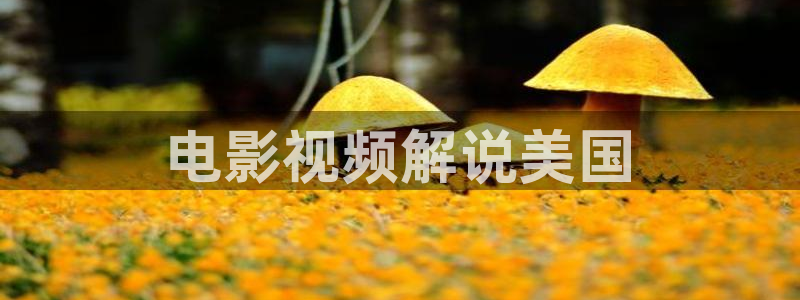 神马网秋霞