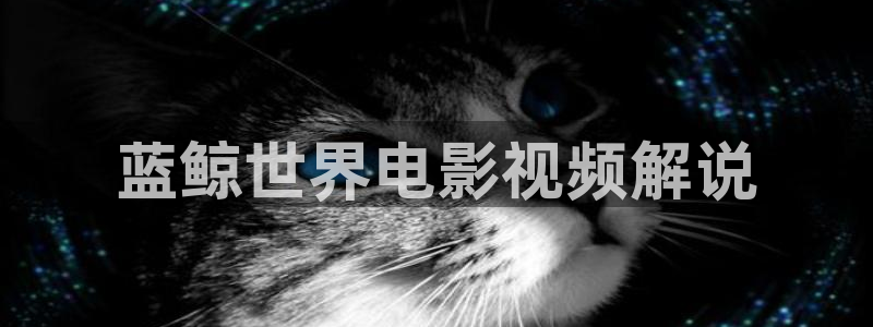 神马影院78