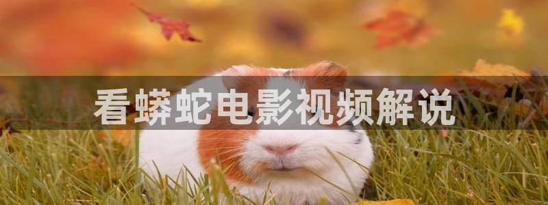 神马影院神马影视神马电影网