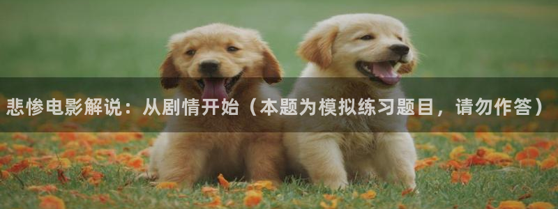 神马电影在线高清
