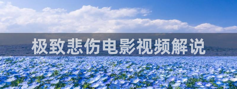 神马电影窝窝网