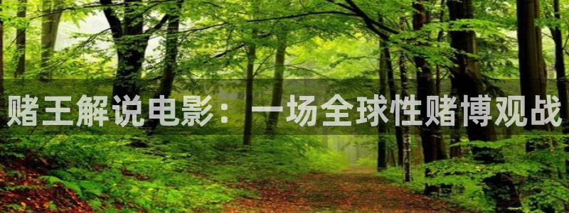 电影神马在线