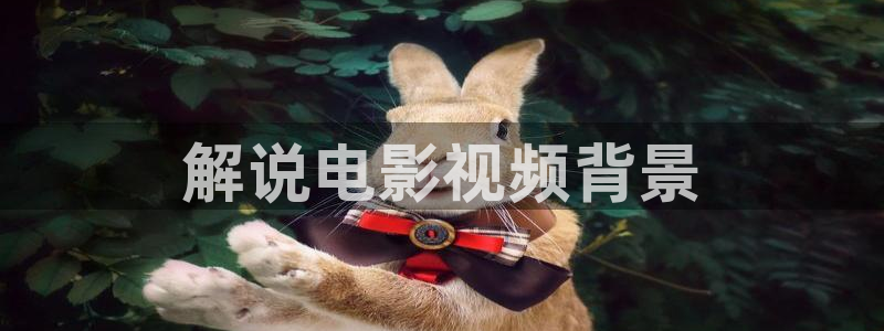 神马不卡在线