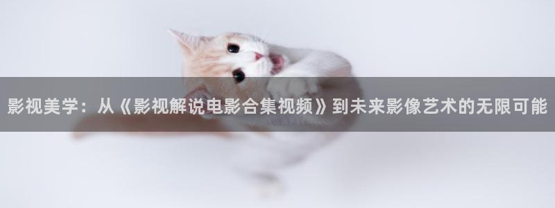 神马电影午夜伦理：影视美学：从《影视解说电影合集视频》到未来影像艺术的无限可能