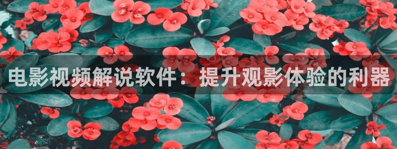 神马影视资源