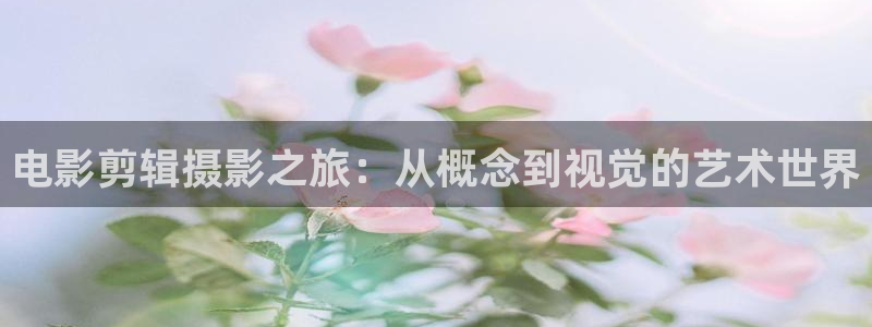 日本神马影院在线观看：电影剪辑摄影之旅：从概念到视觉的艺术世界