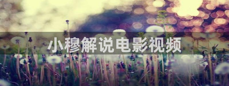 神马都不卡影院：小穆解说电影视频