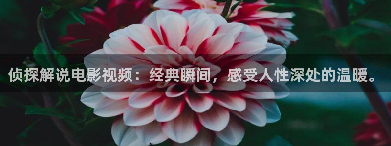 神马我不卡手机影院在线观看：侦探解说电影视频：经典瞬间，感受人性深处的温暖。