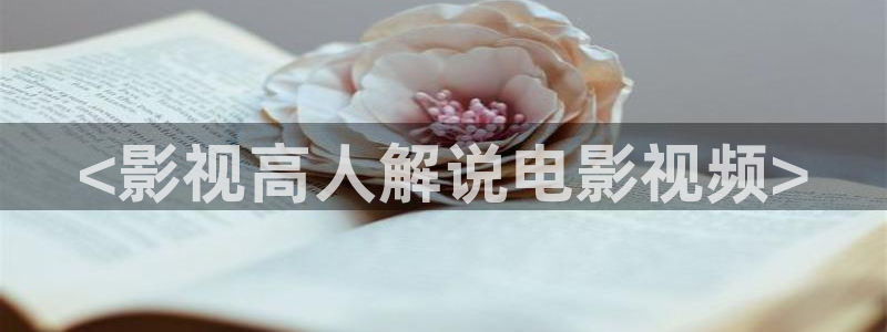 叫神马影院在线看：<影视高人解说电影视频>