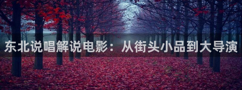 伦理片 神马影院：东北说唱解说电影：从街头小品到大导演