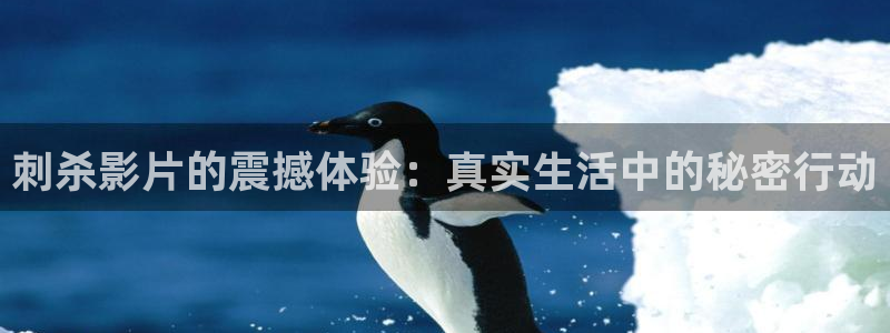 神马影院第九神院：刺杀影片的震撼体验：真实生活中的秘密行动