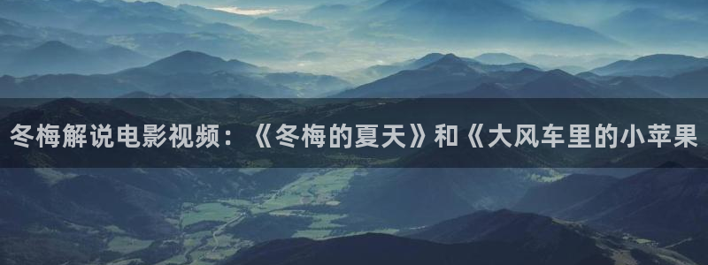 神马午夜我不卡影院：冬梅解说电影视频：《冬梅的夏天》和《大风车里的小苹果